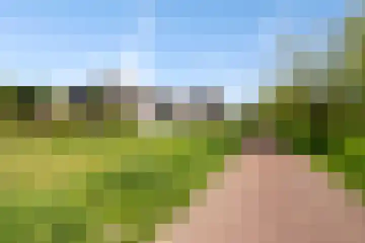 Corso 2 Huissen thumbnail 17