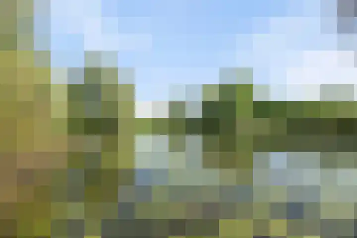 Corso 2 Huissen thumbnail 19