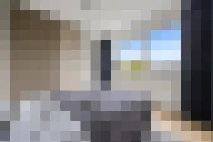 Corso 26 Huissen thumbnail 11