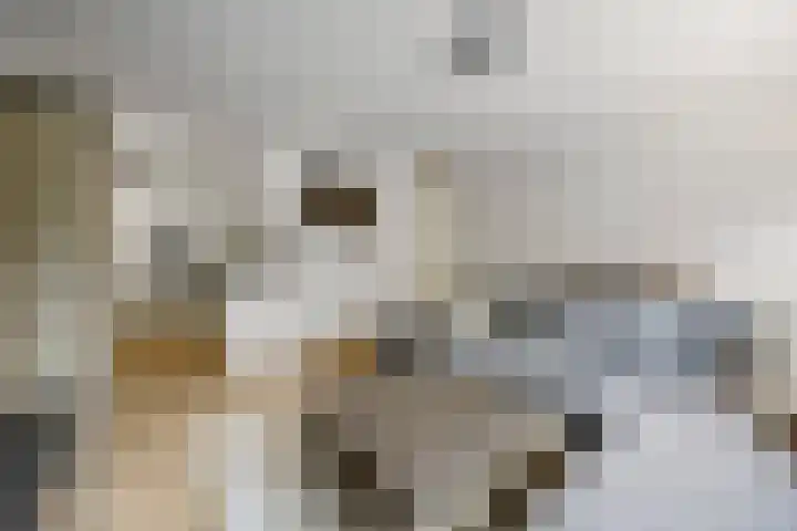 Corso 26 Huissen thumbnail 7