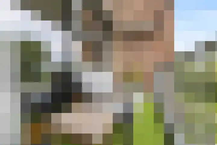 Corso 29 Huissen thumbnail 10
