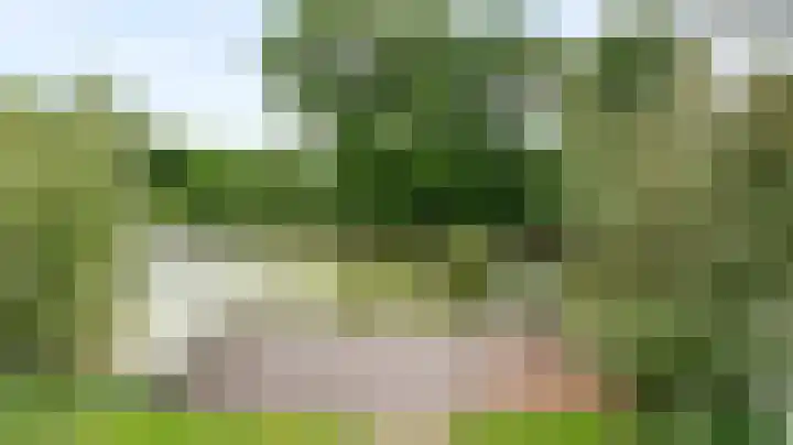 Corso 29 Huissen thumbnail 11