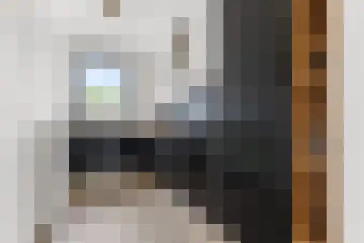 Corso 29 Huissen thumbnail 13