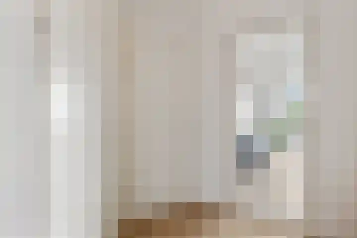 Corso 29 Huissen thumbnail 15