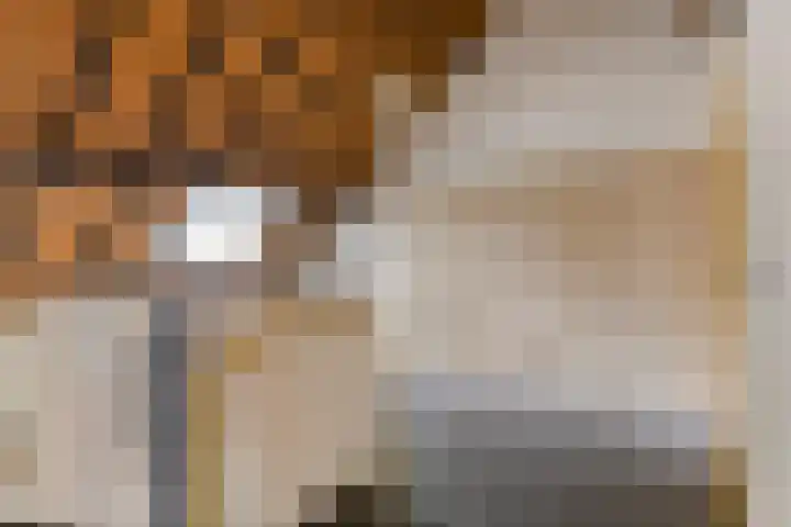 Corso 29 Huissen thumbnail 24