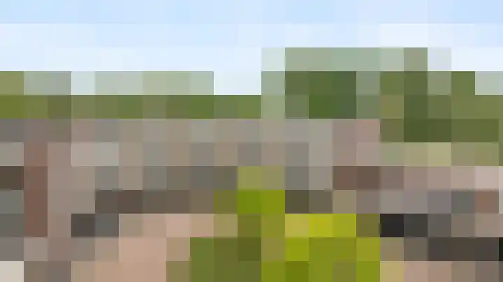 Corso 29 Huissen thumbnail 25