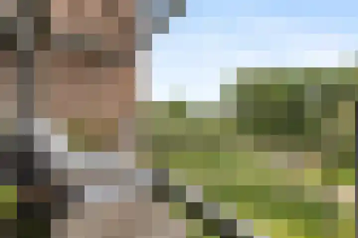 Corso 29 Huissen foto 3