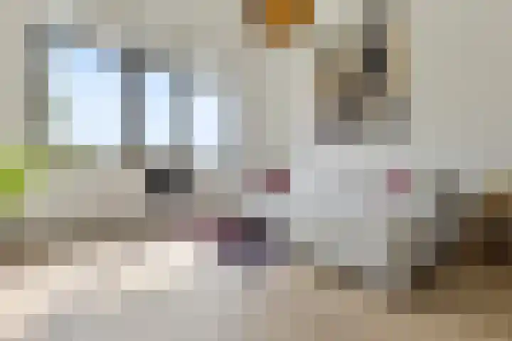 Corso 29 Huissen thumbnail 7