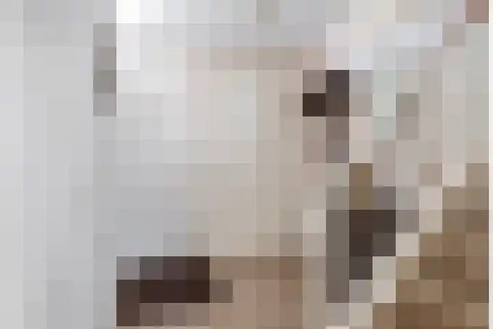 Cortbeemt 1 Ophemert thumbnail 12