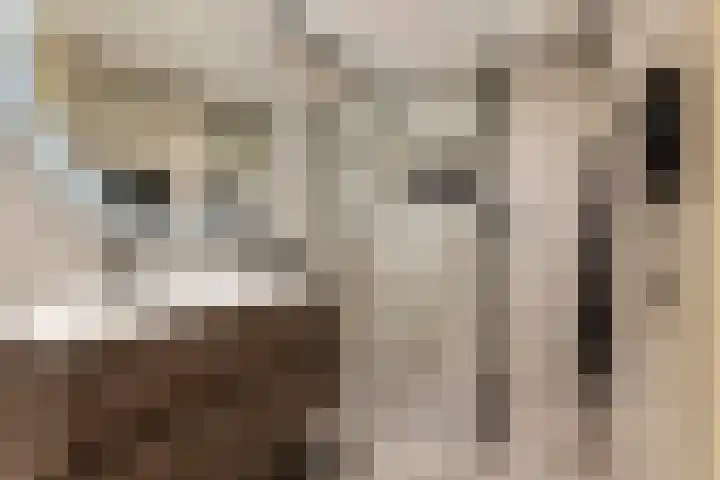 Cortbeemt 1 Ophemert thumbnail 17
