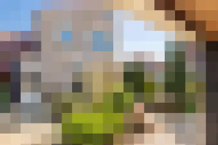 Cortbeemt 1 Ophemert thumbnail 24