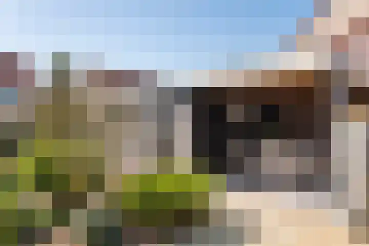 Cortbeemt 1 Ophemert thumbnail 27