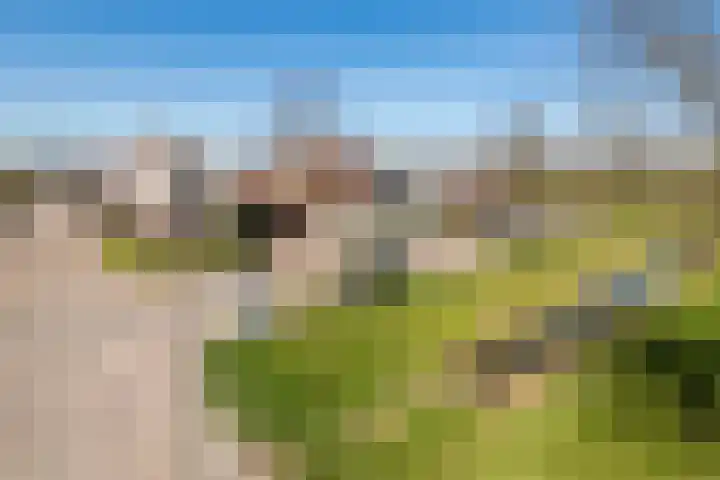 Cortbeemt 1 Ophemert thumbnail 32