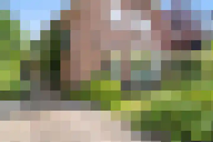 Cortenaerstraat 8 Ede thumbnail 8