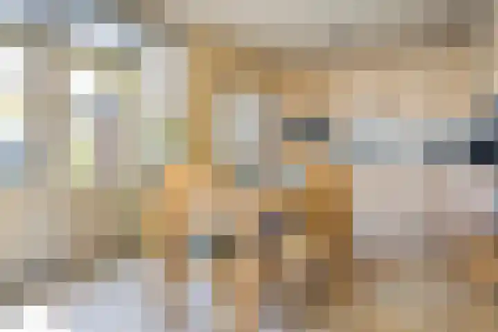 Cortenbachstraat 13 Gemert thumbnail 10