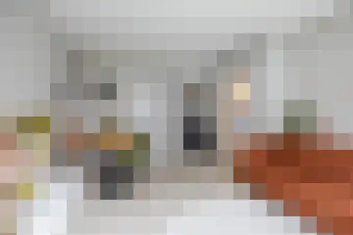 Cortinghlaan 46 Groningen thumbnail 13