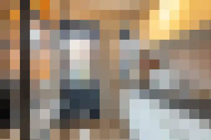 Cortinghlaan 46 Groningen thumbnail 24