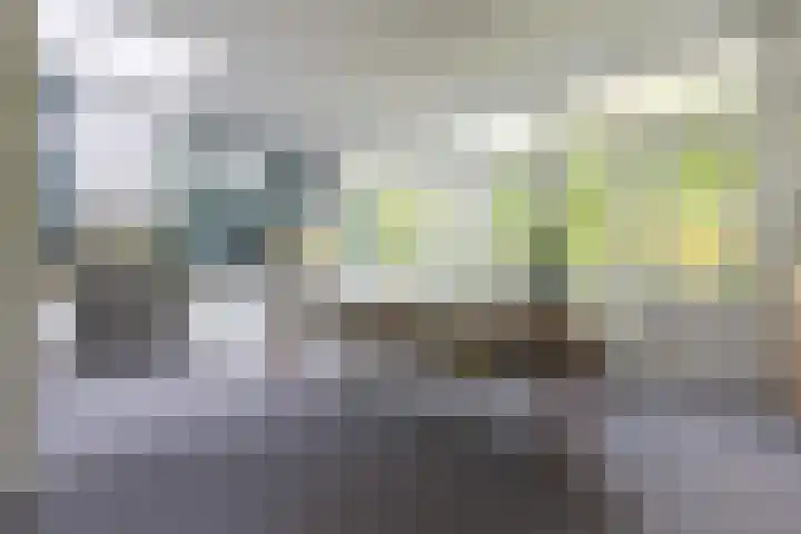 Corverlaan 16 Bussum thumbnail 21