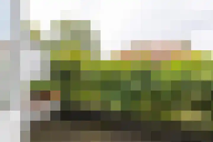 Corverlaan 16 Bussum thumbnail 32