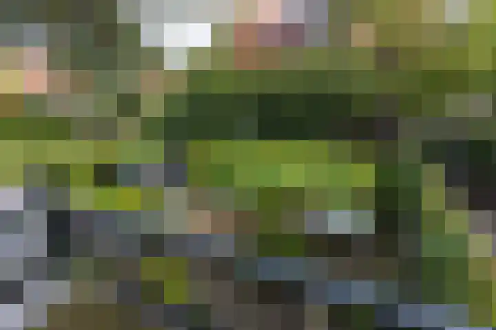 Corverlaan 16 Bussum thumbnail 35