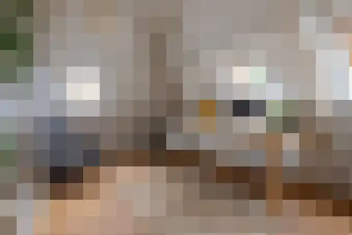 Corverlaan 16 Bussum thumbnail 44