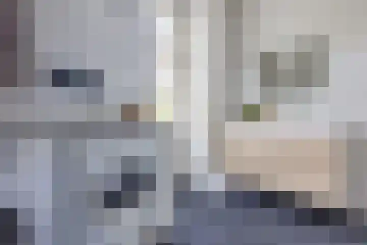 Corverlaan 16 Bussum thumbnail 45