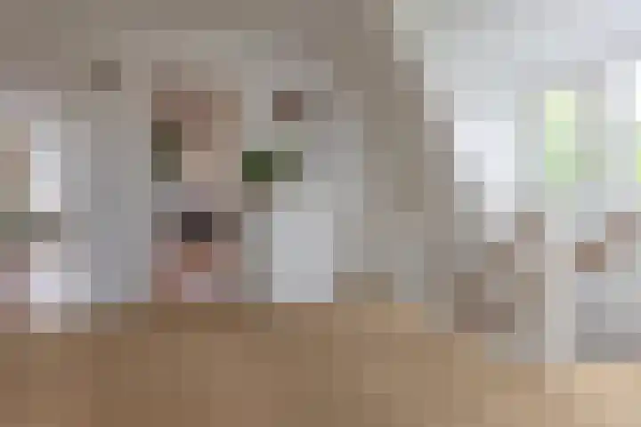 Corverlaan 16 Bussum thumbnail 47