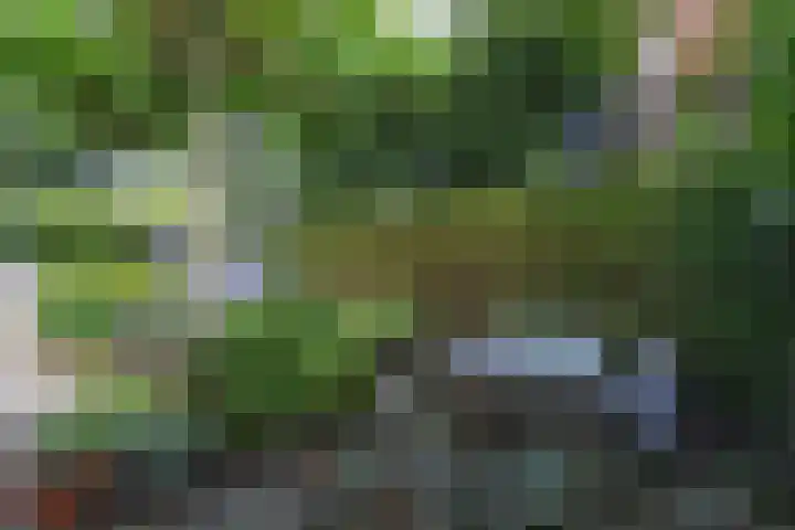 Corverlaan 16 Bussum thumbnail 49