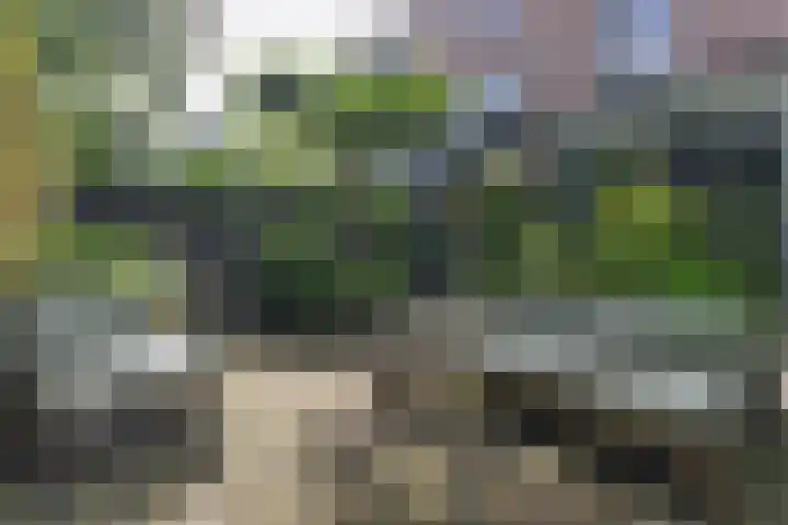 Corverlaan 16 Bussum thumbnail 51