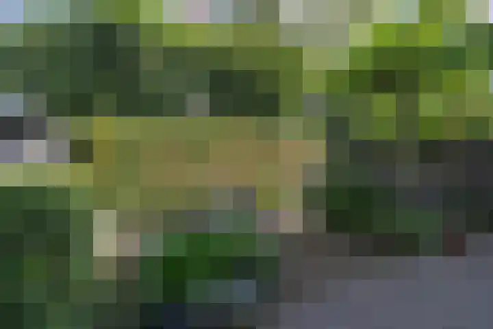 Corverlaan 16 Bussum thumbnail 53