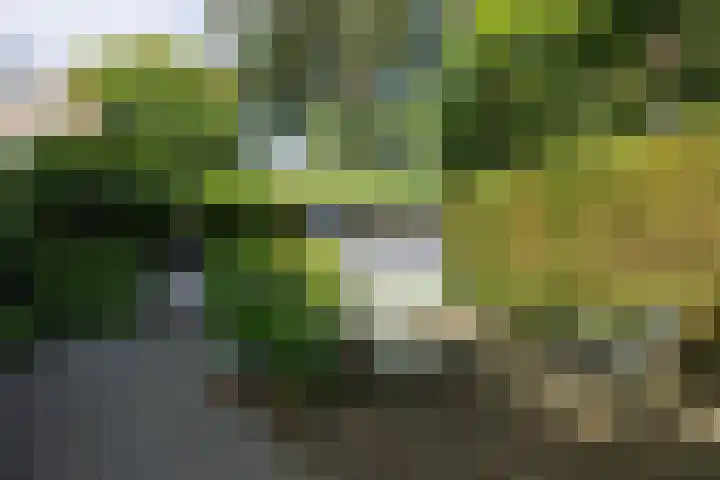 Corverlaan 16 Bussum thumbnail 54
