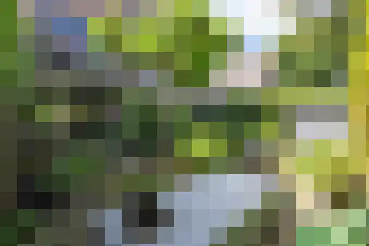 Corverlaan 16 Bussum thumbnail 56