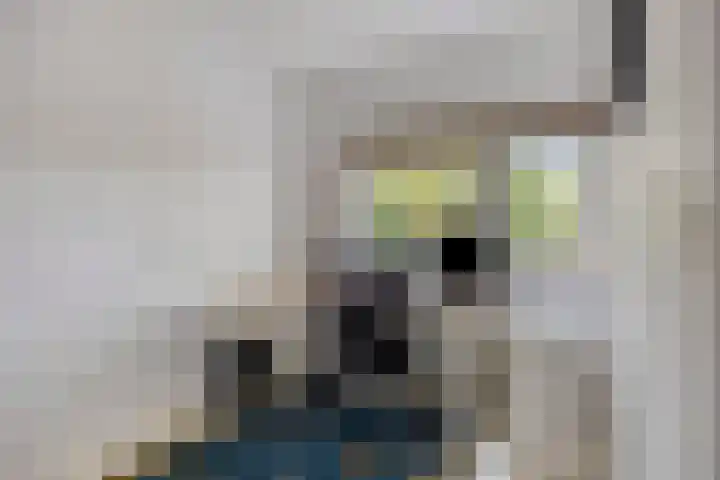 Corversbos 87 Ede thumbnail 18