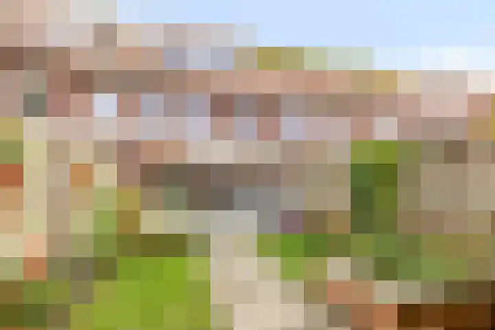 Corversbos 87 Ede thumbnail 24