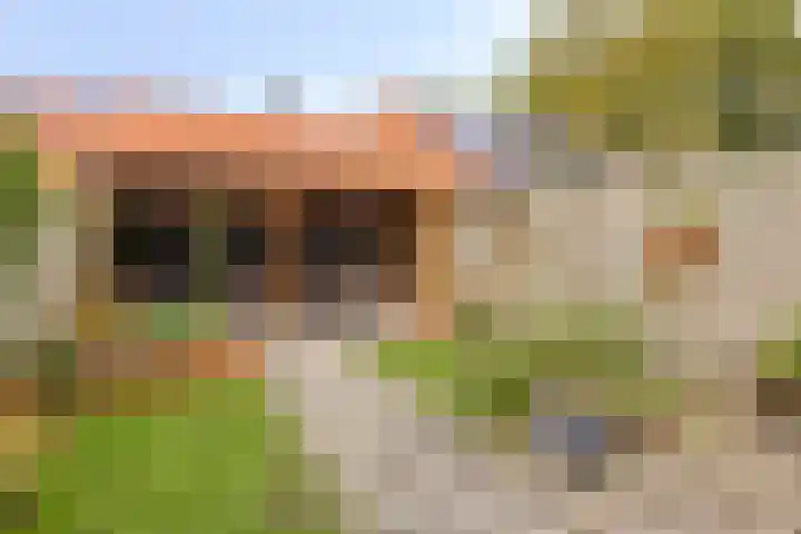 Corversbos 87 Ede thumbnail 25