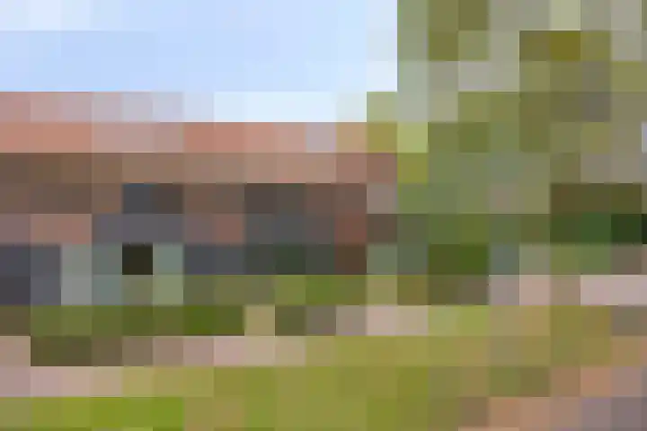 Corversbos 87 Ede thumbnail 31