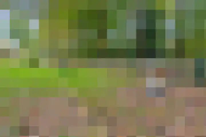 Corversbos 87 Ede thumbnail 33