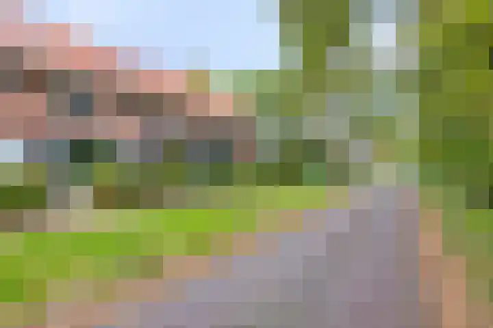 Corversbos 87 Ede thumbnail 35