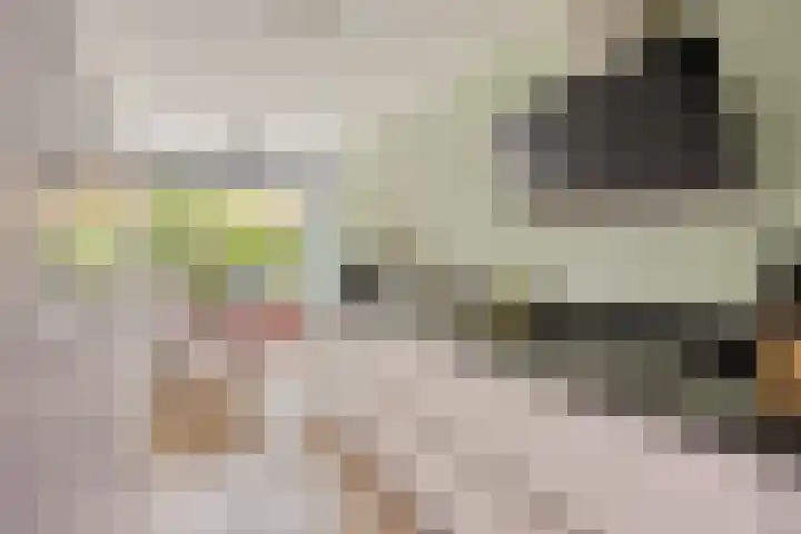 Corversbos 87 Ede thumbnail 8