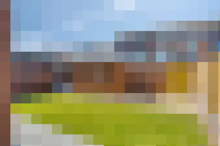 Corvus 12 Veldhoven thumbnail 5