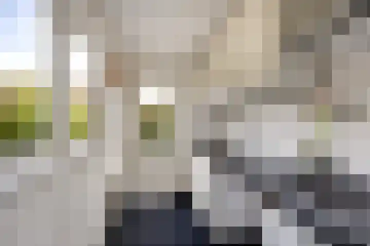 Cosijnstraat 6 Leiden thumbnail 7
