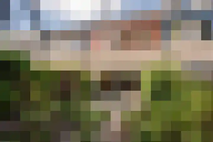 Cosmeaduin 23 Leiden thumbnail 29
