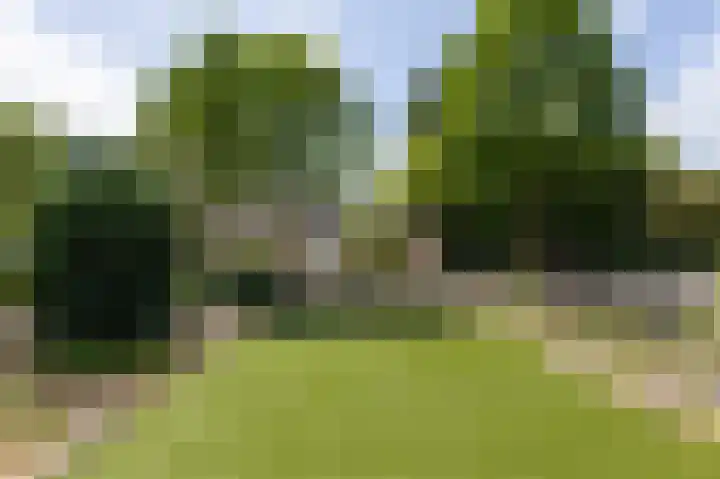 Cosmeastraat 7 Zelhem thumbnail 11