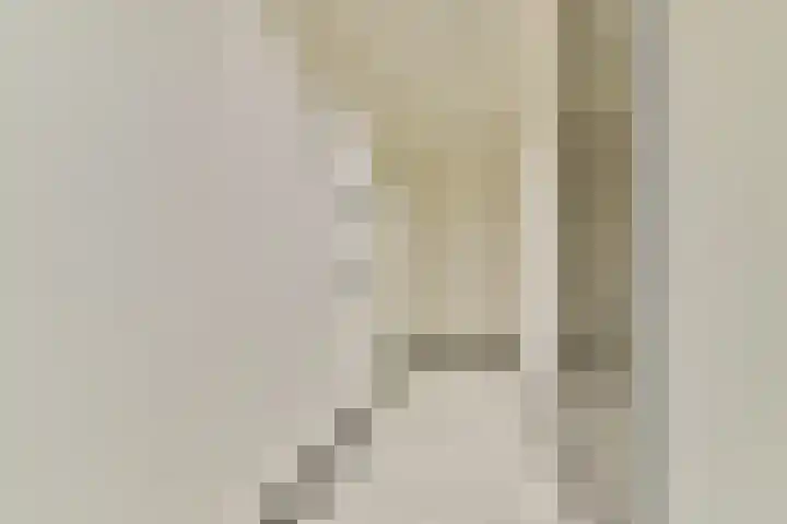 Cosseehof 22 Rotterdam thumbnail 11