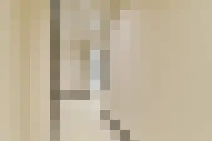 Cosseehof 22 Rotterdam thumbnail 12