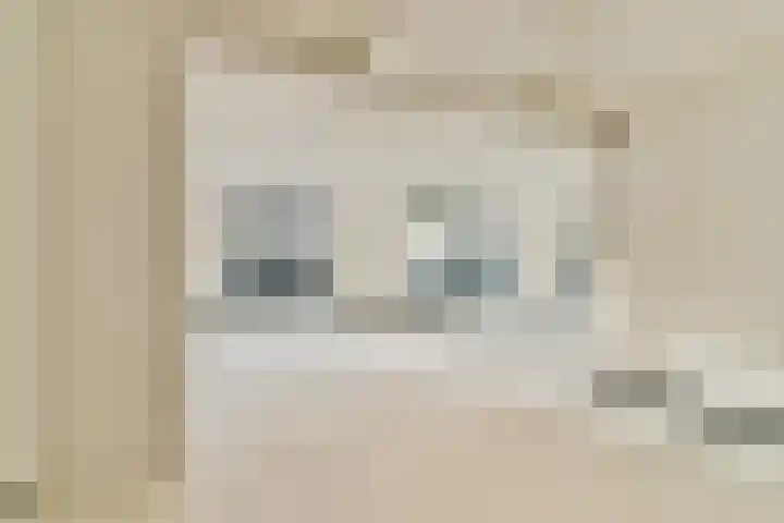 Cosseehof 22 Rotterdam thumbnail 17