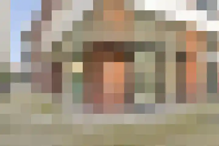 Cosseehof 22 Rotterdam thumbnail 25
