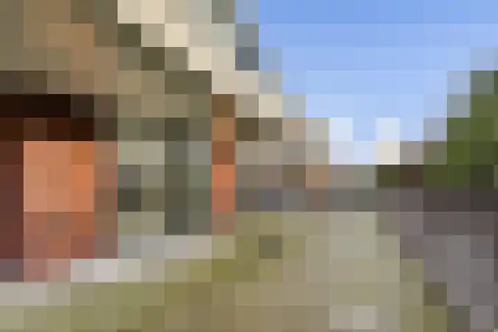 Cosseehof 22 Rotterdam thumbnail 29