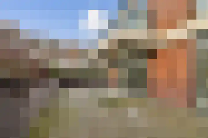 Cosseehof 22 Rotterdam thumbnail 30