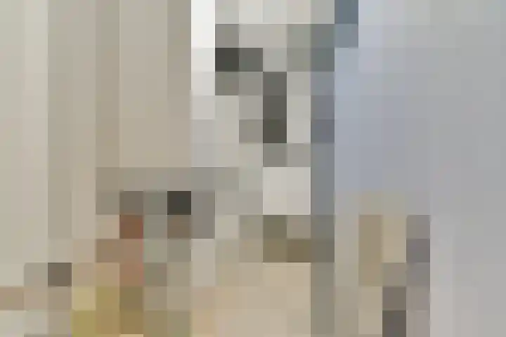 Cosseehof 22 Rotterdam thumbnail 42
